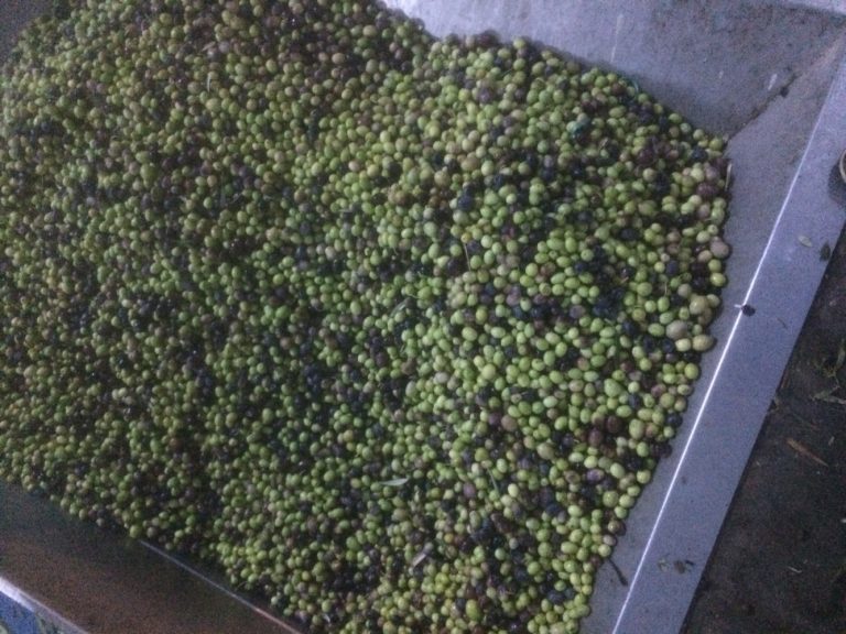 Emişbeleni Şubesi 3